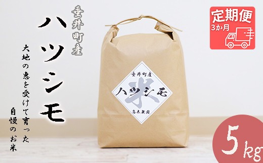 
                  ≪令和6年産≫ 【3か月定期便】岐阜県産ハツシモ5kg
                