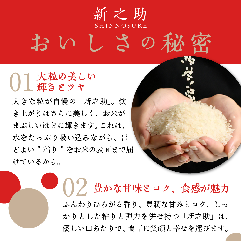 【2025年3月下旬発送】【定期便】令和6年産 新潟県上越・妙高産新之助2kg×6回（計12kg）