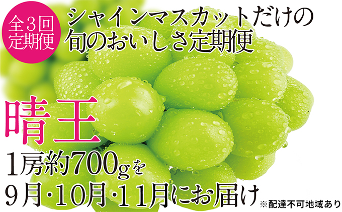 ぶどう 定期便［2023年先行予約］9月・10月・11月発送 シャインマスカット 晴王 1房 約700g 岡山県産