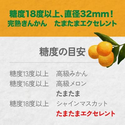 ふるさと納税 高千穂町 完熟きんかん たまたまエクセレント 1kg |  | 01