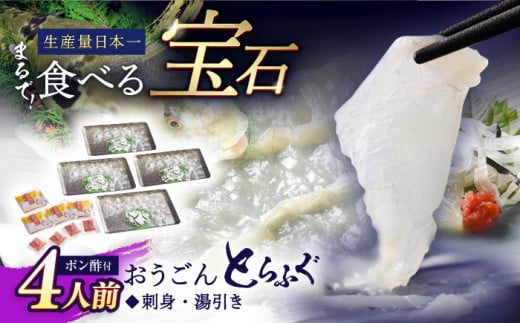 【着日指定 可能】活〆おうごんとらふぐ 刺身 セット（4人前） 平戸市 / 松永水産 [KAB124]