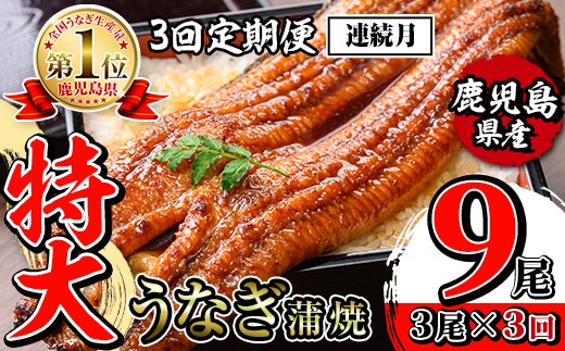 i1174-A ＜定期便・計3回(連続月)＞＼特大サイズ／鹿児島県産 うなぎ蒲焼 3尾セット＜（約220g×3・計約660g）×全3回＞ 定期便 たれ 山椒付きうなぎ 鰻 ウナギ 特大 特大サイズ 約220g 蒲焼き 国産 鹿児島県産 焼きたて 生産量日本一 真空パック おかず 晩御飯 特別な日 土用の丑の日 【薩摩川内鰻】
