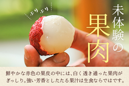 ＜限定50セット＞宮崎県産 生ライチ「至高の紅玉」計1kg 人気 国産 希少 果物 旬 ギフト プレゼント【C365-25】
