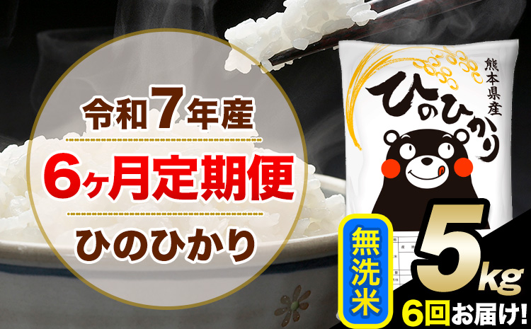 令和7年産【6ヶ月定期便】無洗米 ひのひかり 5kg 5kg×1袋《お申し込みの翌月から出荷》熊本県産 単一原料米 南阿蘇村 ひのひかり 送料無料 熊本県 米 コメ こめ 国産---hn7tei_75000_5kg_mo6_mna_m---