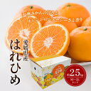 【ふるさと納税】はれひめ M～2Lサイズ 約2.5kg 申込11月30日まで 12月上旬から順次発送【みかん ミカン オレンジ かんきつ 柑橘 フルーツ 果物 くだもの おやつ スイーツ 甘い ジューシー 愛媛県】　お届け：2024年12月上旬～2025年1月上旬