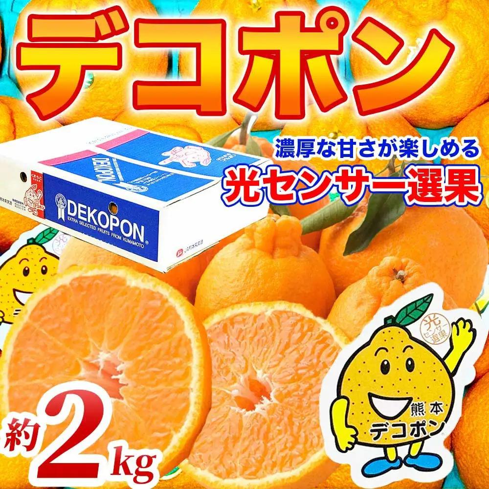 先行予約　デコポン 約2㎏（5～9玉）【2026年12月上旬～2027年4月上旬発送予定】