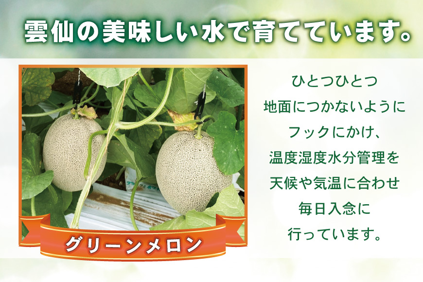 【期間限定発送】メロン 雲仙グリーンメロン 大玉 2玉 [長崎県農産品流通 長崎県 雲仙市 item1560] めろん 果物 フルーツ くだもの 季節限定 期間限定