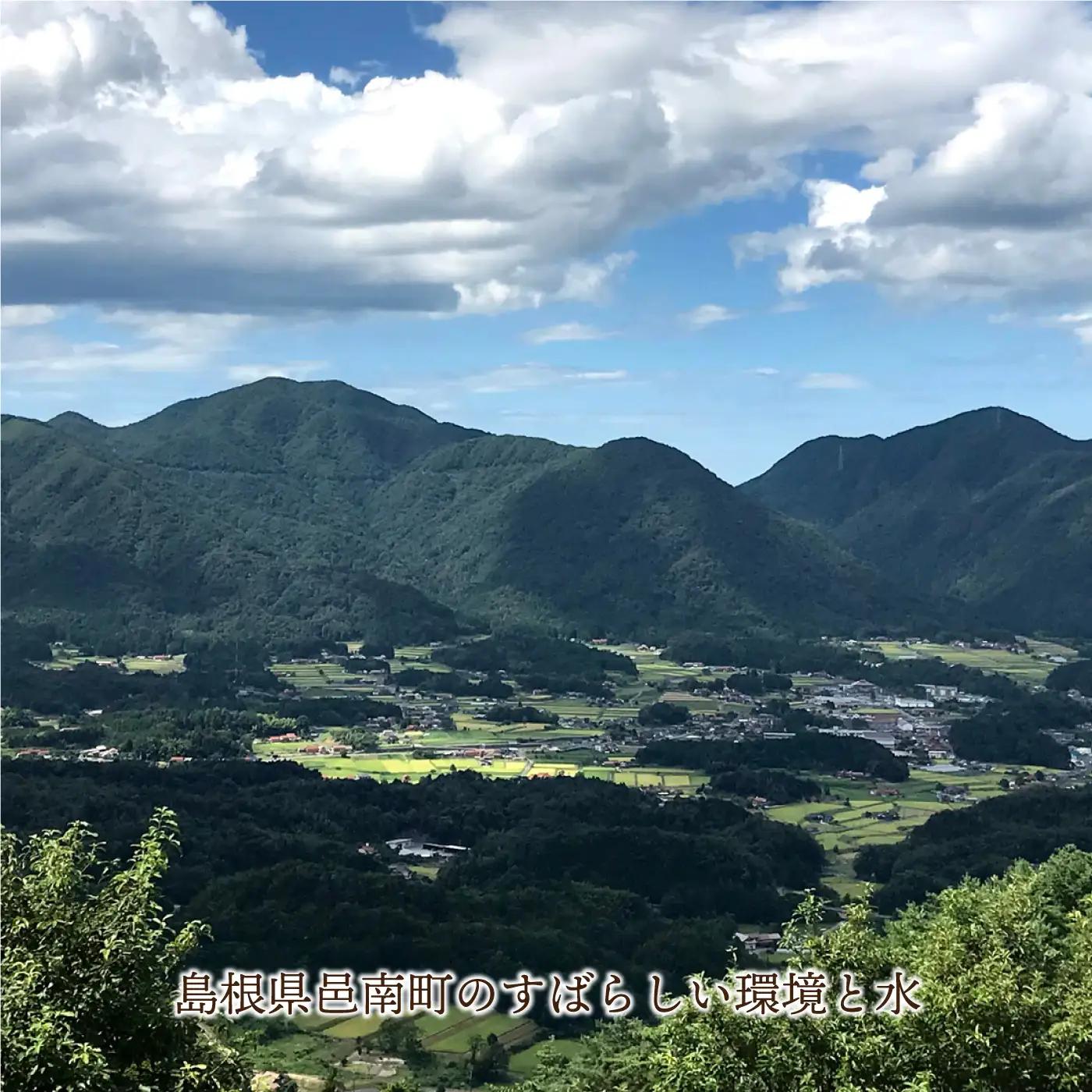 令和7年産 新米 有機JAS 有機於保地米 食べ比べ（コシヒカリ5kg・つや姫5kg）