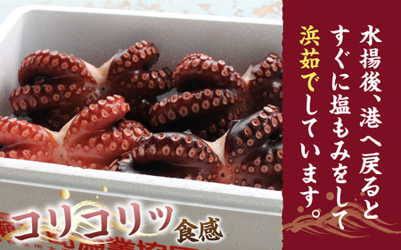 【ボイル済みの天然タコ！】ゑべす蛸3匹（計1.5kg）＜大瀬戸町漁協＞ [CAR007]