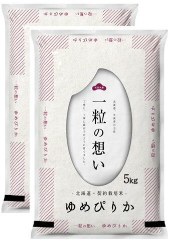 【ふるさと納税】ゆめぴりか　10kg（5kg×2個）　計90kg【9カ月定期】