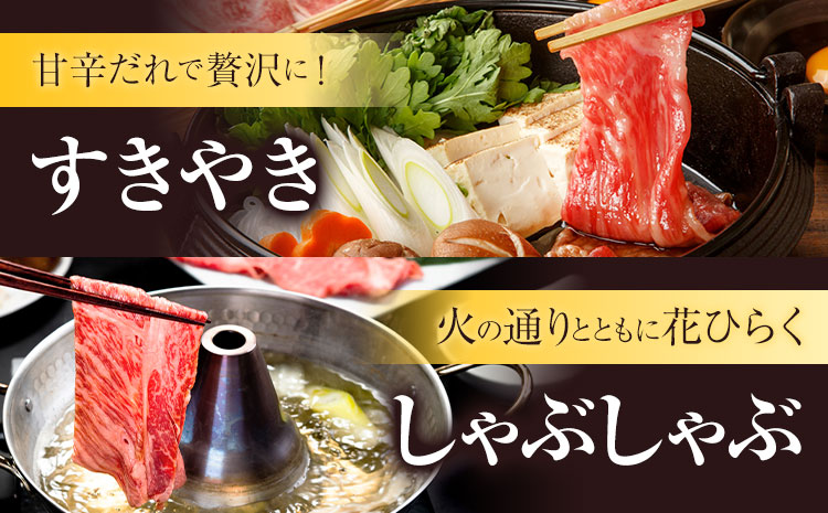 【6ヶ月定期便】あか牛 すきやき・しゃぶしゃぶ用 サーロイン肉1kg・馬刺し200g 食べ比べセット 計7.2kg 合同会社たべたせいか《お申し込みの翌月から出荷》牛肉 和牛 馬刺し セット 熊本県産