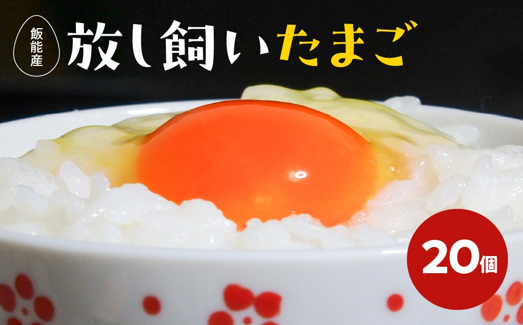 
                  ≪飯能産≫放し飼いたまご 20個(夏季)【 ふるさと納税 埼玉県 飯能市 送料無料 卵 玉子 タマゴ 鶏卵 こだわり 濃厚 生食 生鮮食品 大容量 おすそ分け 】 HNNBP003
                
