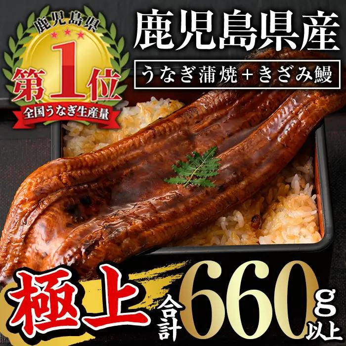 うなぎ 無投薬  鹿児島県産  ＜極上＞ (160g～236g×3尾・きざみ50g×2袋)  うなぎ【西日本養鰻】B44-v02