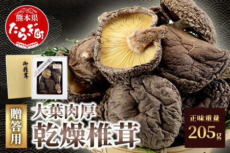 【お中元ギフト】農林水産大臣賞 受賞 槻木 大葉厚肉 乾燥椎茸 205g 026-0025-c