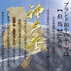 神戸牛 お肉三昧セット 計1.5kg KKWLS10 【2026年4月より順次発送】【配送不可地域：離島】【1683064】