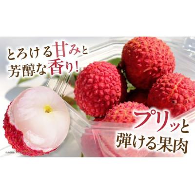 ふるさと納税 綾町 生ライチ　8パック |  | 01