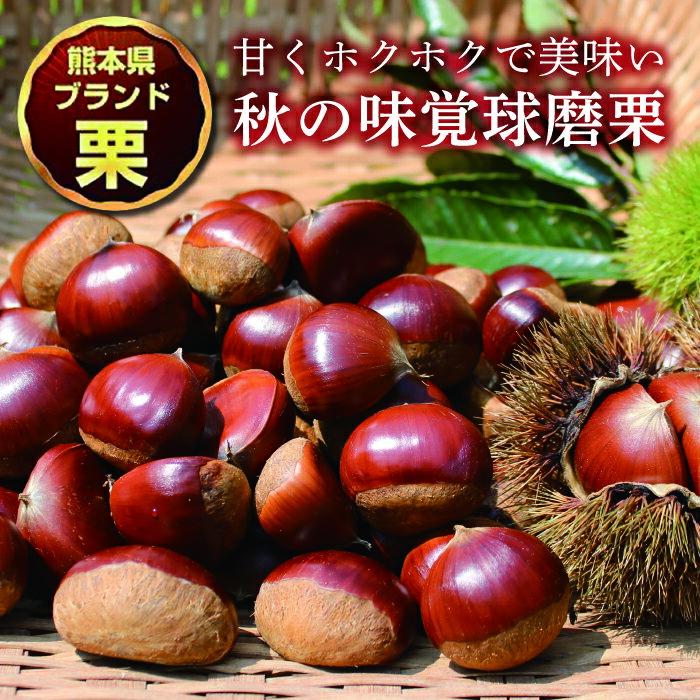 【ふるさと納税】【先行予約】球磨村産 球磨栗 2kg くり クリ 栗ご飯 果物 フルーツ 甘露煮 FKP9-524