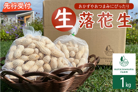 北海道 芽室町 生落花生 茹で用 郷の香 1kg らっかせい 大粒