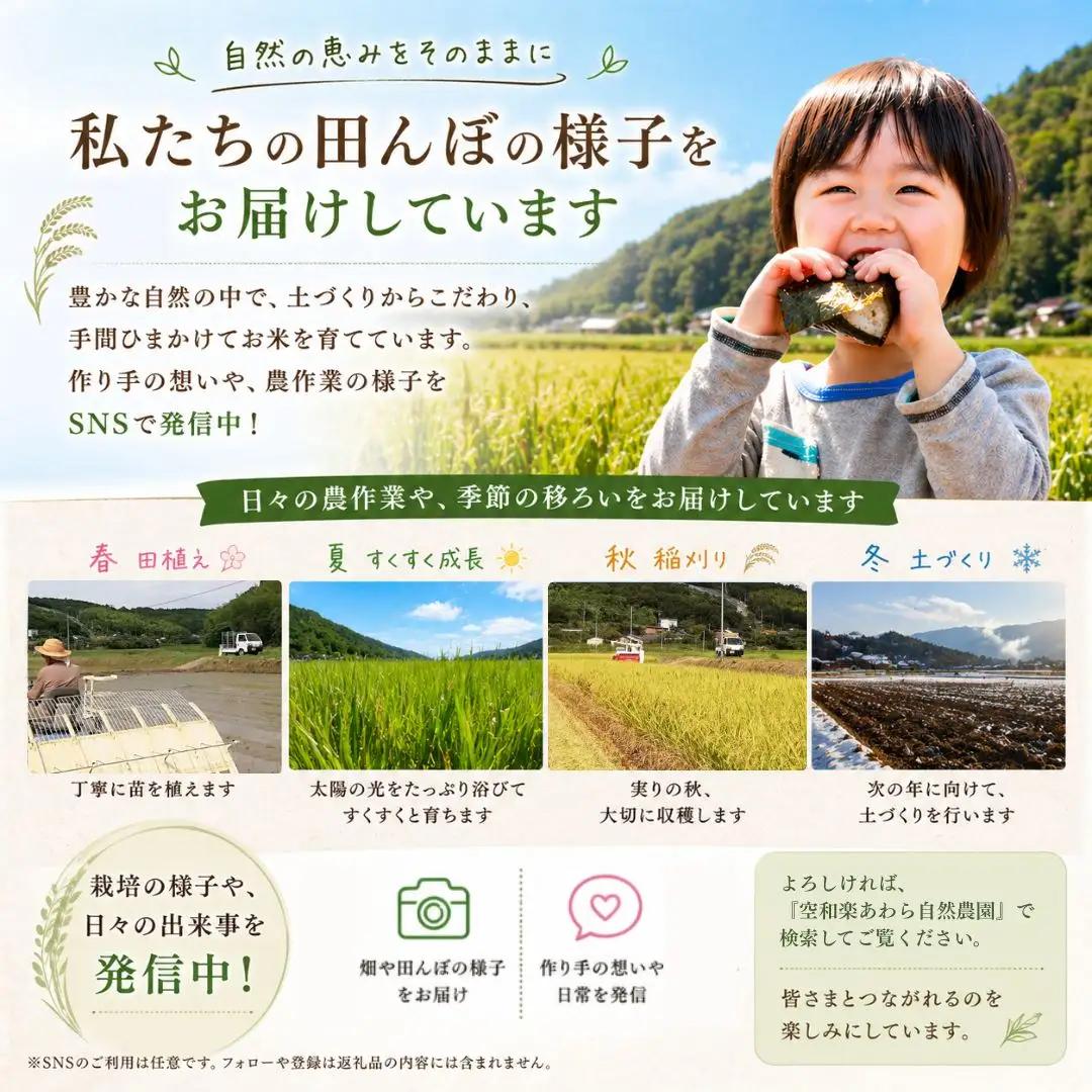 【大分県産】 自然農法 玄米 5kg | 豊後高田市