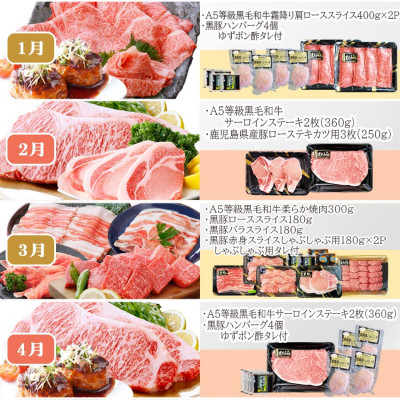 定期便(12回配送)枕崎お楽しみ便(A5等級黒毛和牛・黒豚・黒豚加工品・さつまあげ等) JJ-6003【1166754】 _ 肉 お肉 牛肉 すきやき すき焼き しゃぶしゃぶ 焼肉 霜降り ハンバーグ サーロイン ステーキ さつま揚げ