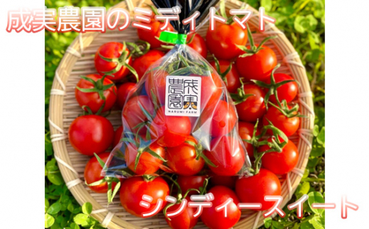 
No.158 成実農園のミディトマト　シンディースイート ／ とまと 野菜 有機肥料 山口県
