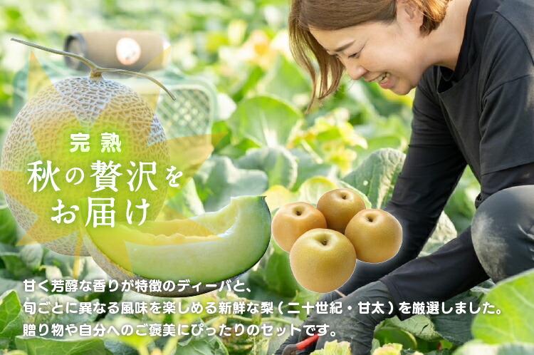 924.【ふるさと納税】【青肉系メロン】ディーバ（メロン）と旬の梨セット※離島への配送不可（北海道、沖縄本島は配送可能）