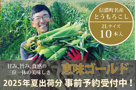 【2025年夏の予約受付開始！】 信濃町名産とうもろこし『落影農場の恵味（めぐみ） 10本セット』／スイートコーンの人気品種を早期予約限定で受付中！ 令和7年7～8月出荷予定 2025年夏出荷分 先行予約【長野県信濃町ふるさと納税】