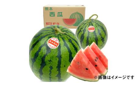 熊本県産 大玉スイカ 1玉 （2L以上・約7kg） 【2025年7月上旬迄発送予定】 大玉西瓜 大玉すいか 西瓜 すいか スイカ 果物 果実 フルーツ 大玉 九州 熊本県 熊本市 常温