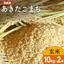 【ふるさと納税】R6年度産 先行予約 あきたこまち 玄米 10kg×2袋/計20kg　 玄米 20kg お米 精米 米 国産