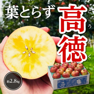 【ふるさと納税】【令和8年11月上旬～発送】今年もお届け。味にこだわる生産者から「葉とらずこうとく」2.8kg【配送不可地域：離島】【1124030】