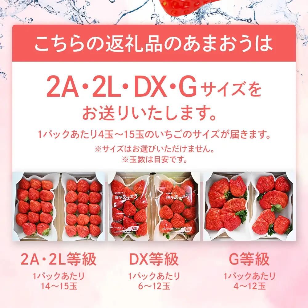 先行予約いちご あまおう 合計約1kg 約250g×4パック【2027年1月下旬～2月順次発送予定】 いちご