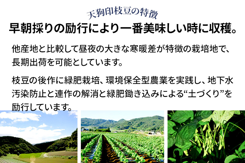《8月上旬〜9月下旬発送》厳選 天狗印枝豆「味緑（みりょく）」約1.25kg