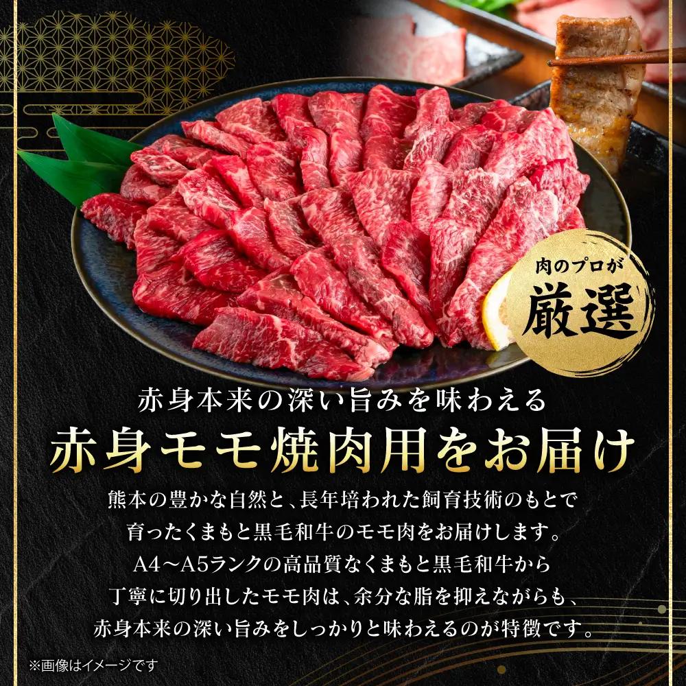 牛肉 くまもと黒毛和牛 赤身 モモ 焼肉用 500g （250g×2パック） A4～A5ランク 牛肉