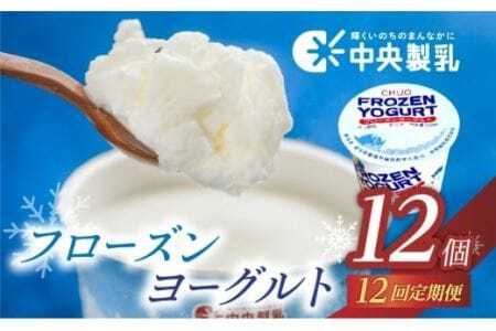 アイス フローズンヨーグルト 12個 アイス 1年 定期便　