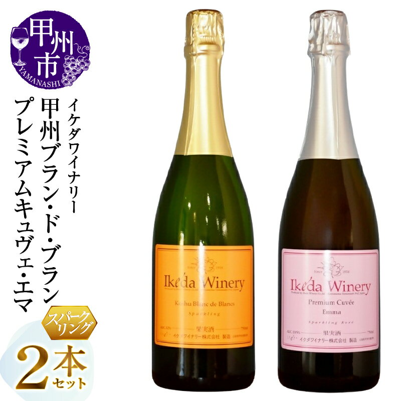 【ふるさと納税】 ワイン 白 ロゼ 750ml 2本 セット スパークリングワイン イケダワイナリー やや辛口 やや甘口 甲州 マスカット・ベーリーA 巨峰 白ワイン ロゼワイン 飲み比べ 酒 お酒 アルコール 母の日 父の日 記念日 ギフト 山梨県 甲州市 （MG） 【C-491】