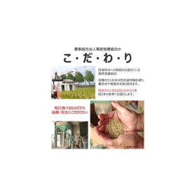 ふるさと納税 多度津町 多度津町産  おいでまい(白米8kg)【A-11】 |  | 03