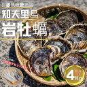 【ふるさと納税】知夫里島産 岩牡蠣 4kg ブランド 岩牡蠣 生食可 牡蛎 牡蠣 かき