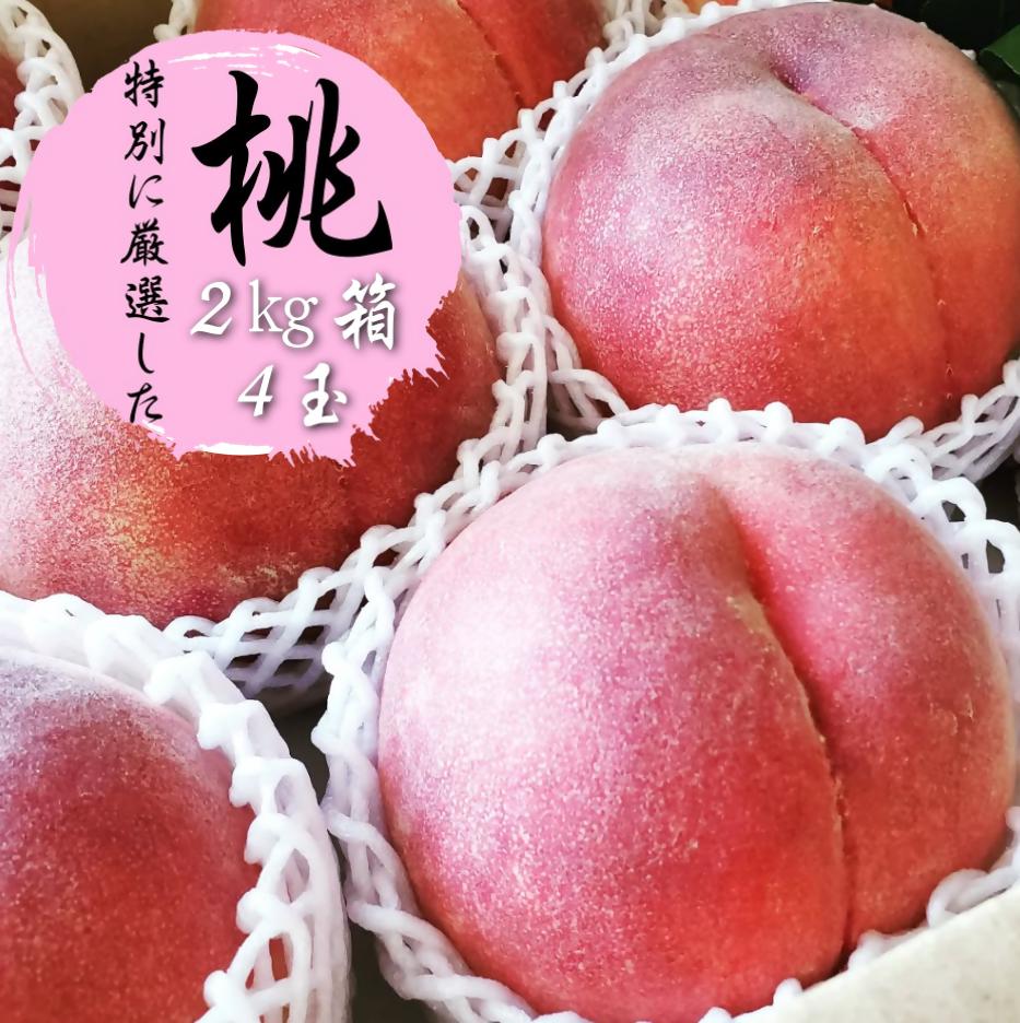 
            ふるさと納税のために特別に選別した 桃 約2kg 4玉【2025年発送】（WDN）B14-900 【桃 もも モモ 令和7年発送 期間限定 山梨県産 甲州市 フルーツ 果物】
          
