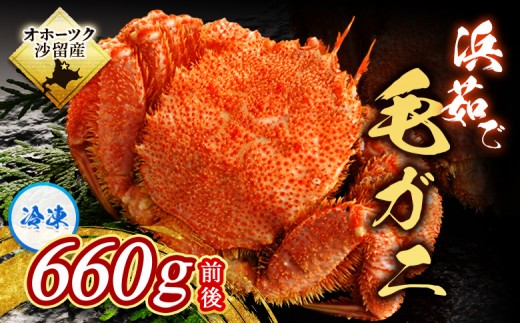 
            【 大きいサイズ 660g前後 】 冷凍浜茹で毛がに『1尾』
          