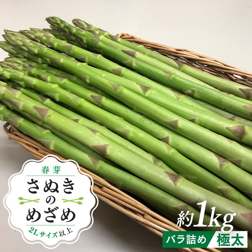 【ふるさと納税】【2月下旬頃～発送】カトちゃんさぬきのめざめロング 春芽 1kg 極太 2L以上 | アスパラガス アスパラ 野菜 やさい お取り寄せ 送料無料 春芽 旬 期間限定