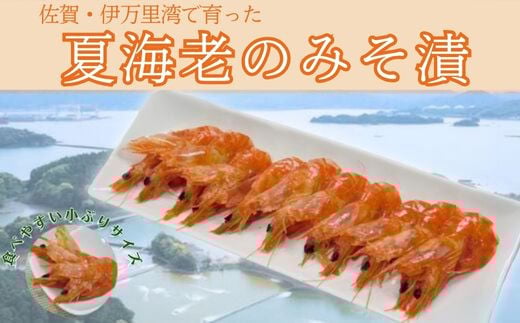 
【佐賀県伊万里産｜夏海老のみそ漬】海老250g/みそ200g
