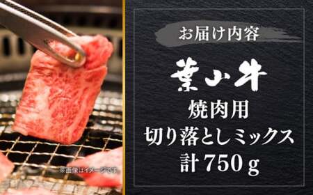【葉山牛】750g　焼肉用ミックス（ロース、モモ、カルビ等） ／ 焼肉 和牛 牛肉 焼き肉 【葉山牛ステーキレストラン 角車】[ASBD002]