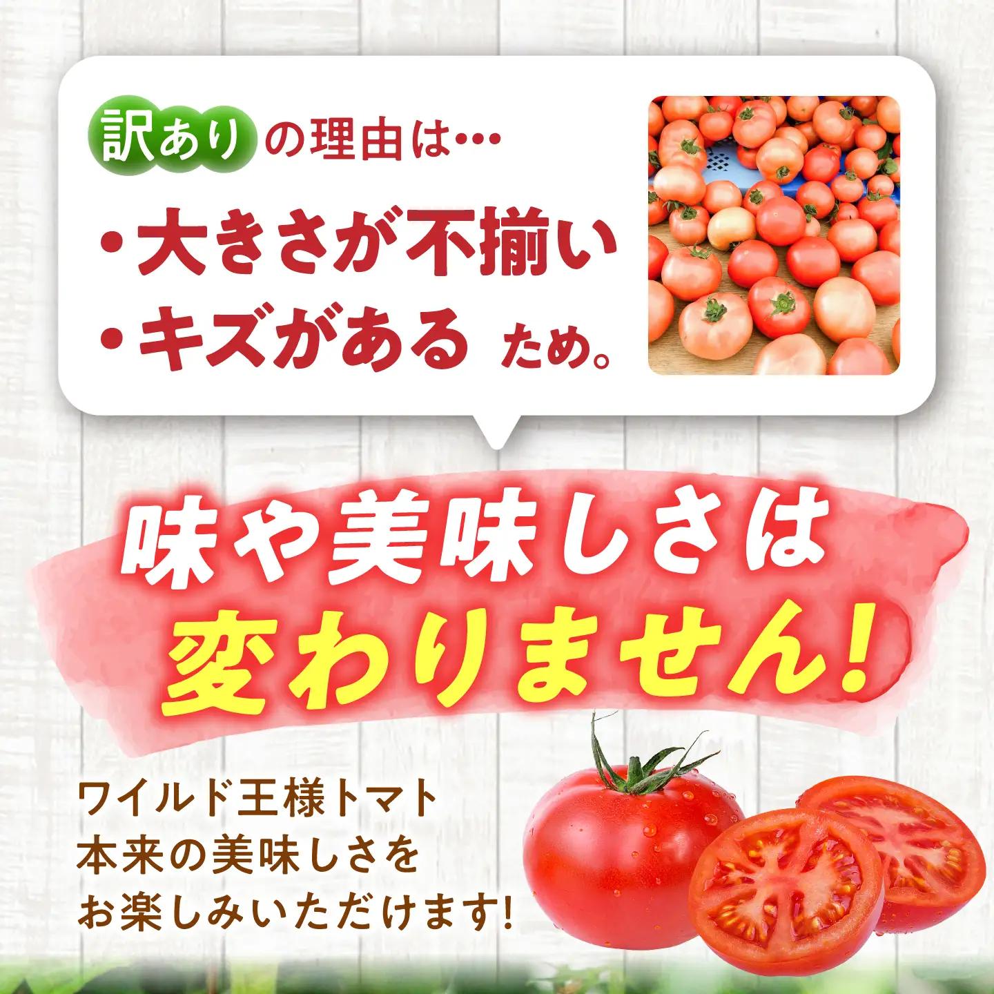 【7月上旬から順次発送】＼訳あり／ワイルド王様トマト 3.7kg / トマト とまと 箱入り 3.7キロ / 恵那市 / 阿部農園[AUGA008]