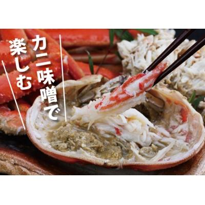 ふるさと納税 鳥取市 鳥取賀露港 タグ付き浜茹で松葉がに (かねまさ・浜下商店) |  | 03