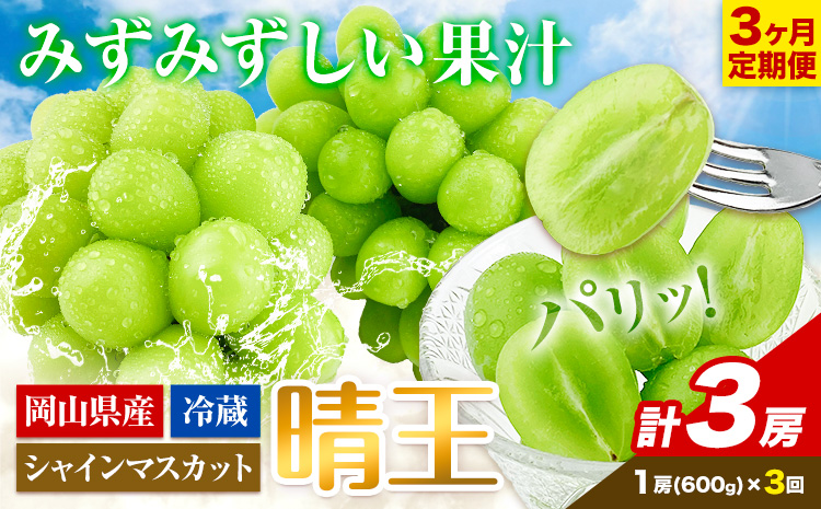 3ヶ月 定期便 シャインマスカット 晴王 1房 約600g《9月上旬-11月末頃出荷(土日祝除く)》【配送不可地域あり】（北海道・沖縄・離島）---124_c986tei_9j11m_24_65000_sep3---