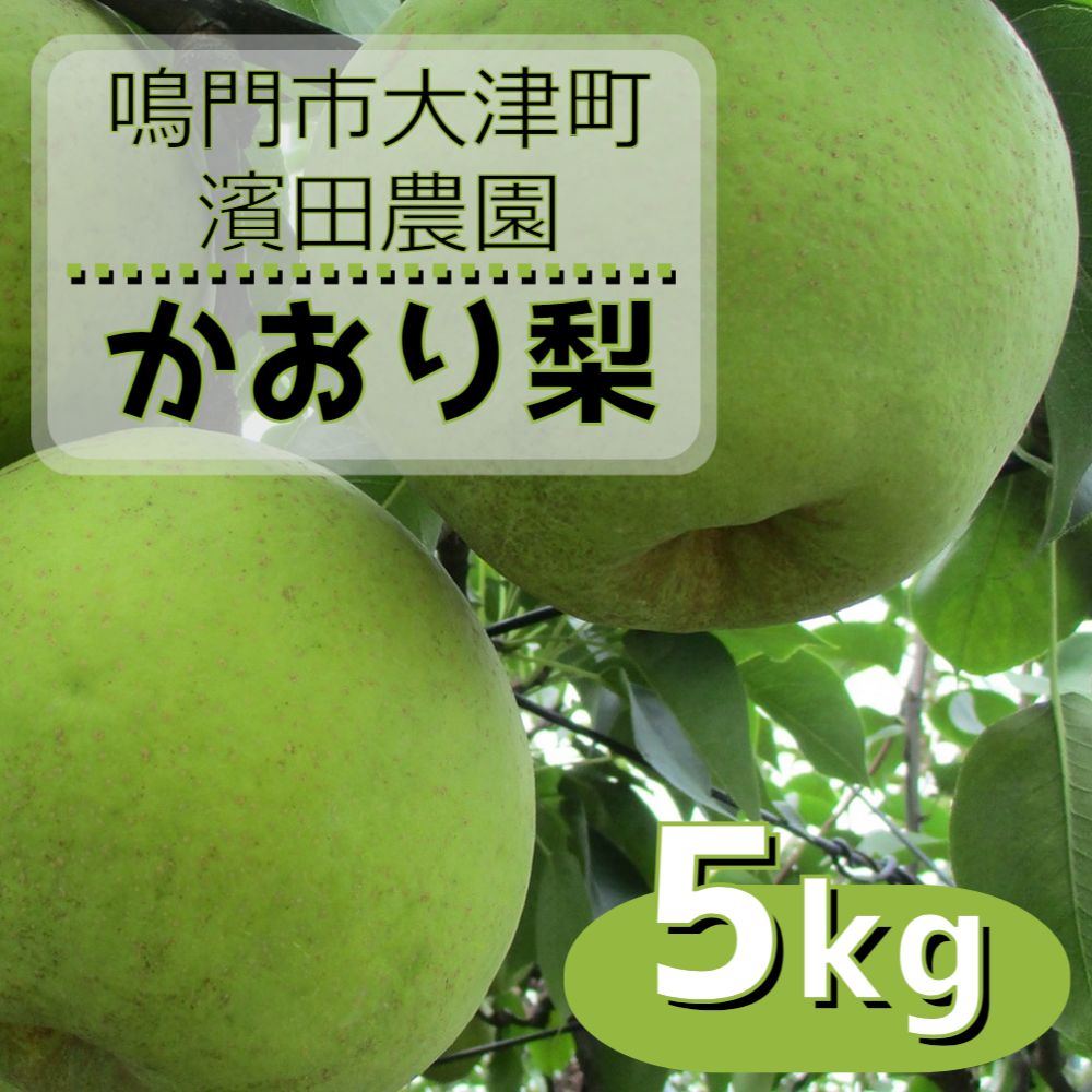 【ふるさと納税】【予約受付中・9月上旬～中旬より順次発送】 濱田農園 かおり梨 約5kg 【数量限定】 徳島県産 幻の梨 和梨 香梨 新興 幸水 国産 鳴門