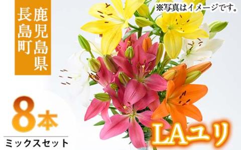＜期間限定＞LAユリ ミックスセット(8本)【宮路園芸】miyaji-793