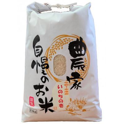 ふるさと納税 糸魚川市 新潟県産 糸魚川産  令和7年産 いのちの壱 100% 精米 10kg