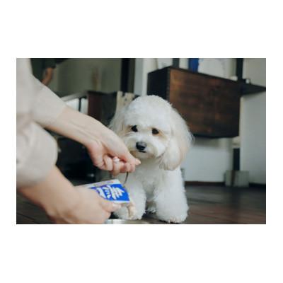 ふるさと納税 静岡市 愛犬用無一物(R)パウチかつお 60g×48袋 |  | 01