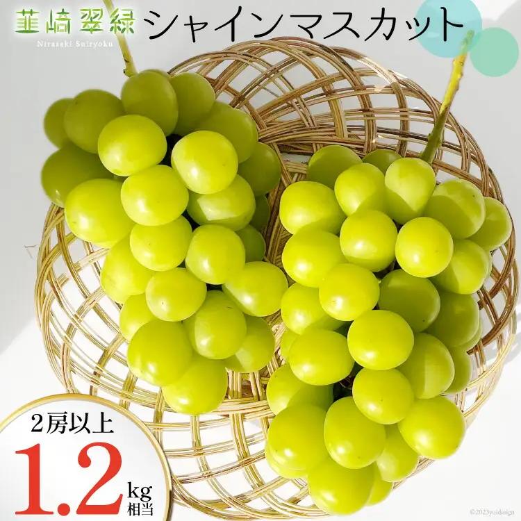 【2026年発送】シャインマスカット 予約 1.2kg 相当 NS-1002 韮崎翠緑セレクト